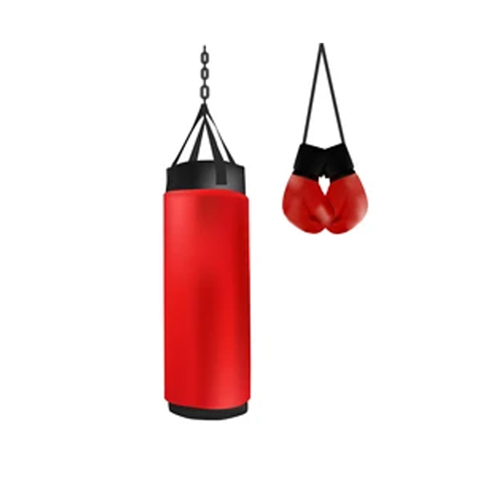 Punching Bags | CLS-PB-091